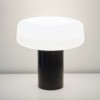 terence woodgate solid table light